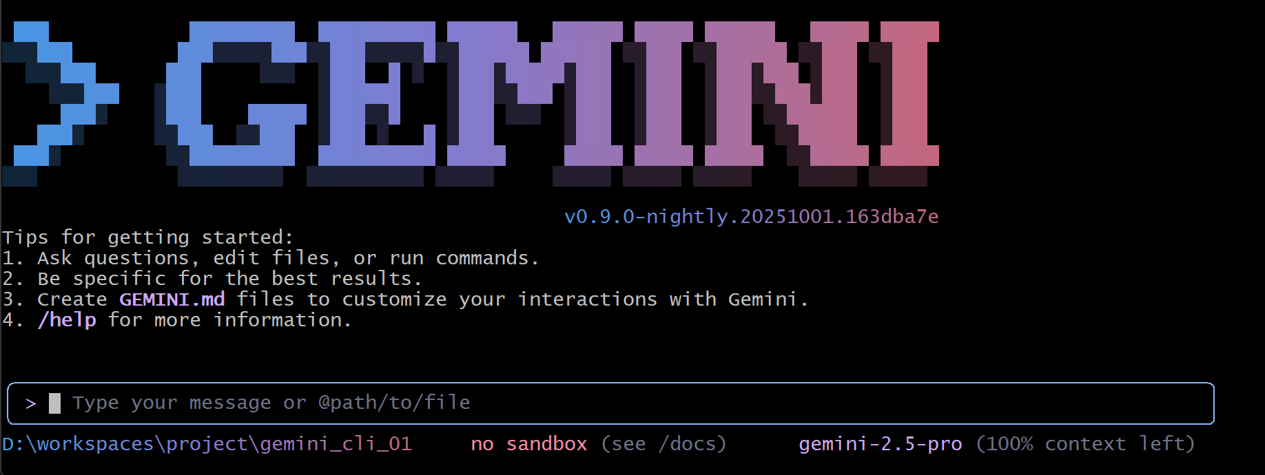 gemini_cli_05.png