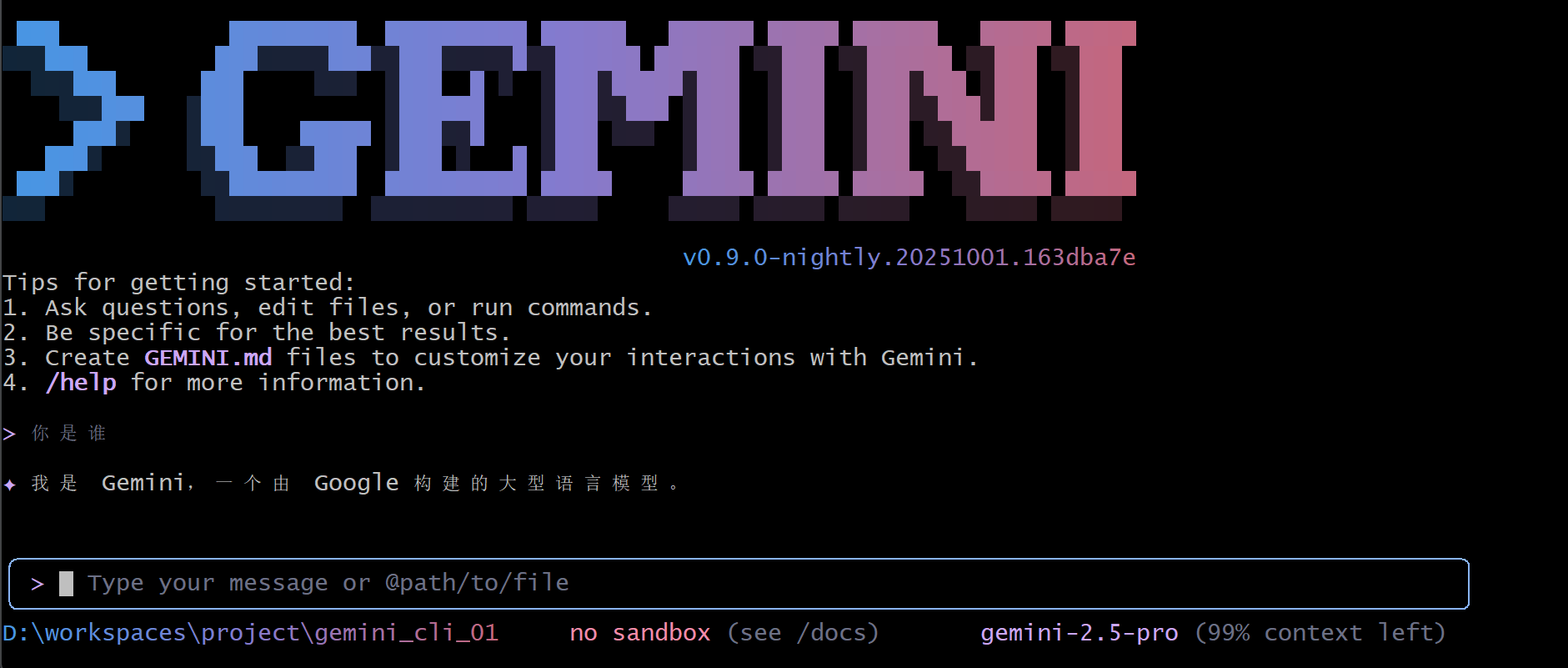 gemini_cli_06.png