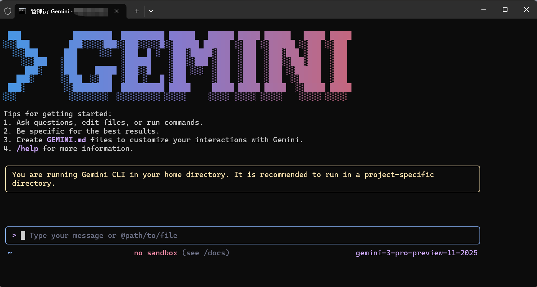 gemini_cli_3pro_06.png